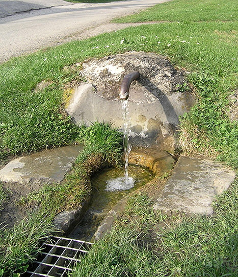 studánka Krhovská (1297) - květen 2009