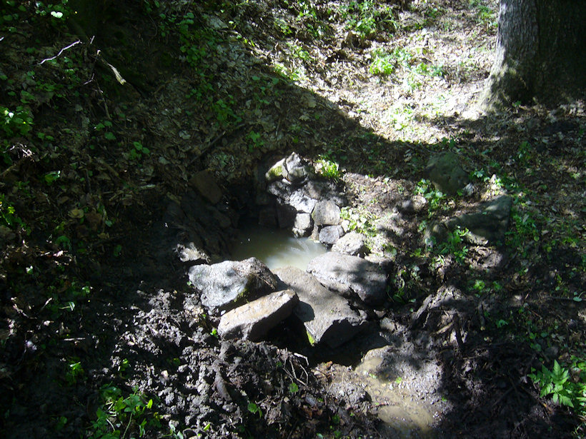 Hruškova studánka (1298) - květen 2009