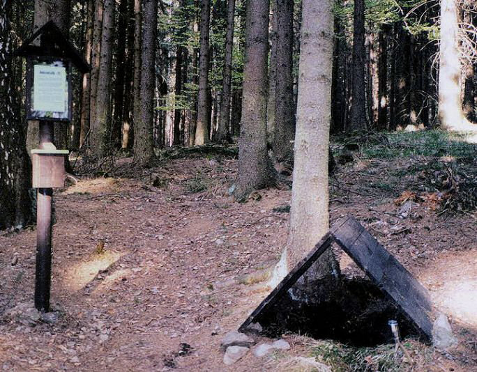 Studánka Lesních skřítků (130) - listopad 2002