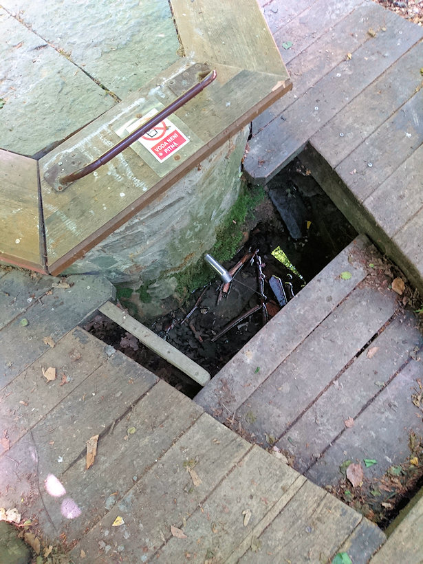 Studánka pod Bradlecem (1302) - červen 2019