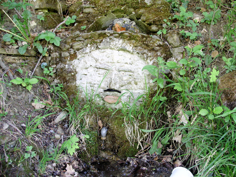 pramen Trpasličí (1305) - květen 2009