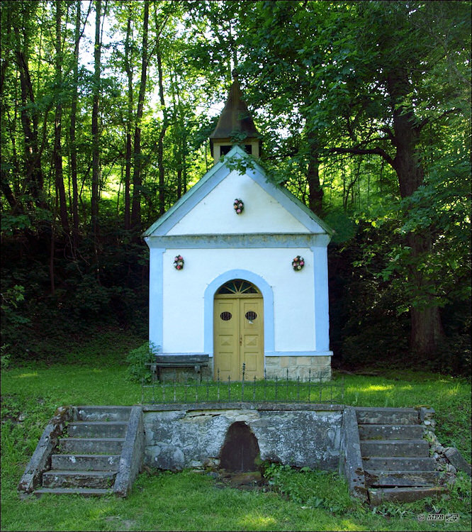 Hlubočská studánka (1307) - květen 2009