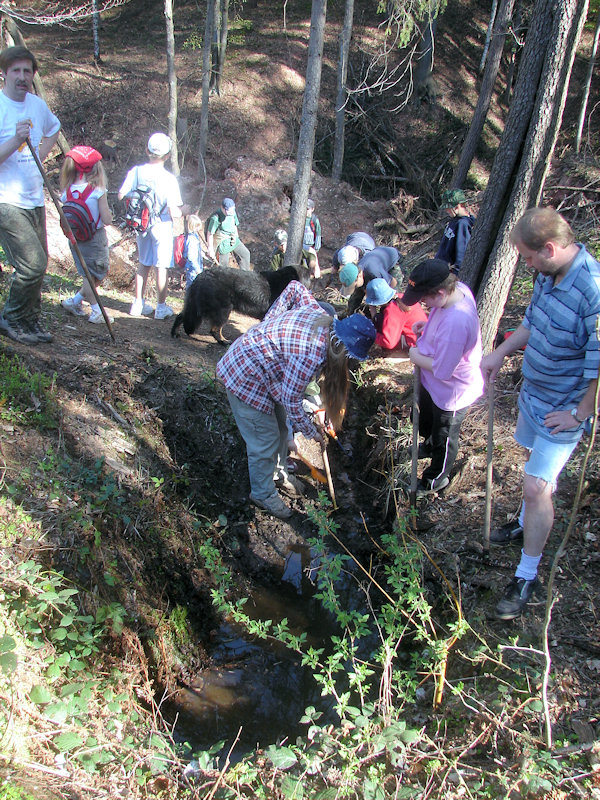 studánka Smradlavka (1309) - květen 2009