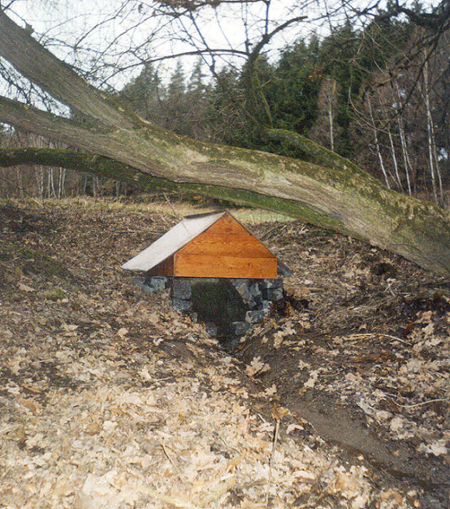 studánka Vyschlý pramen (131) - březen 2008