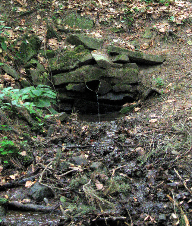 pramen pod Galovskými lúkami (1313) - květen 2009