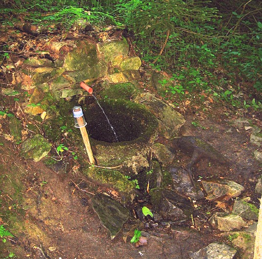 studánka Zelená (1331) - květen 2009