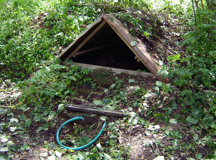 studánka U Železné (1334) - květen 2009