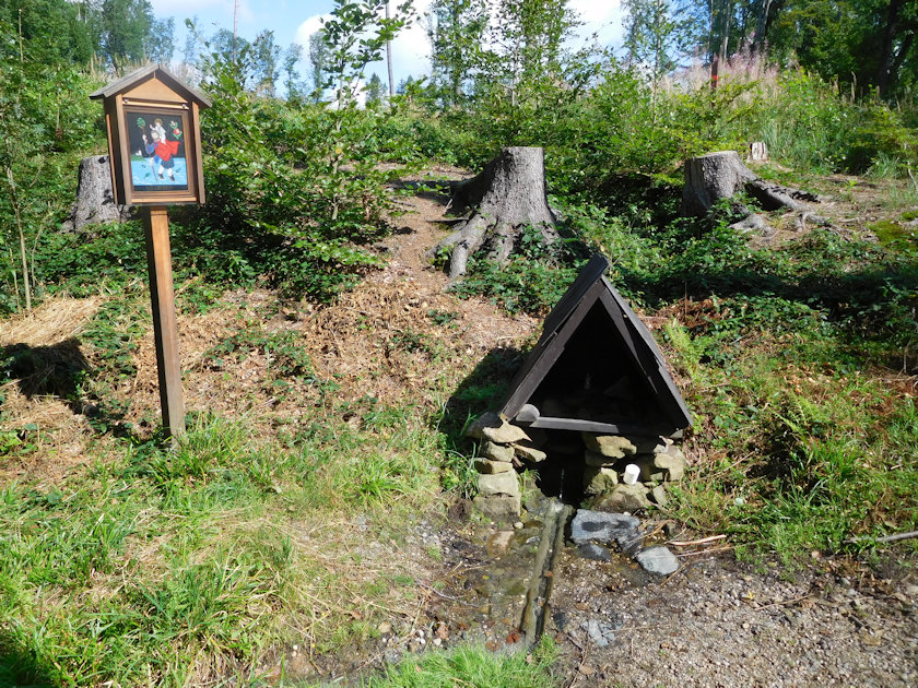pramen Bílá studánka (Smradlavka) (1346) - srpen 2021