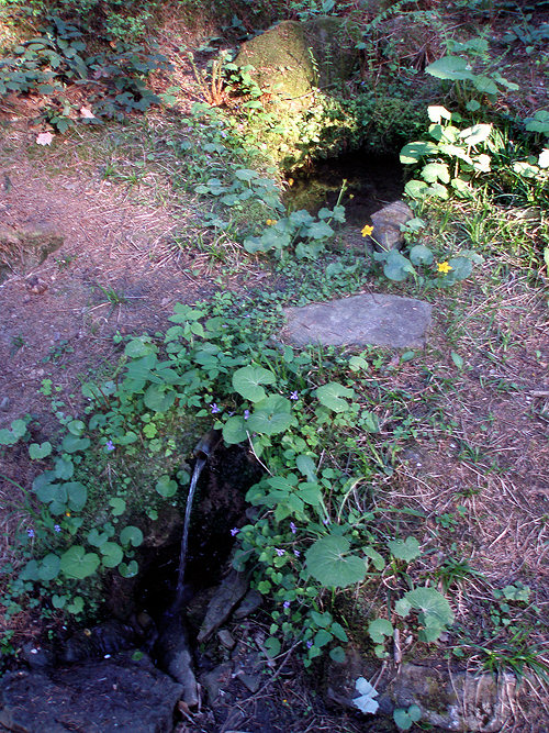 studánka Na Pasekách (1350) - květen 2009