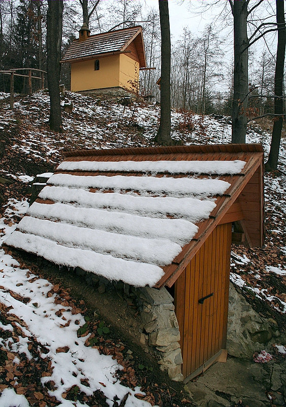 studánka Papradná u kaple (1355) - květen 2009