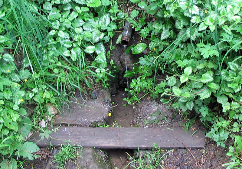 studánka K Piskovce (1363) - červen 2009
