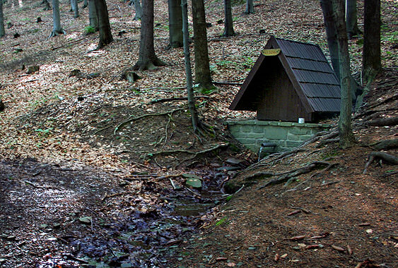 pramen Elsová (1367) - červen 2009