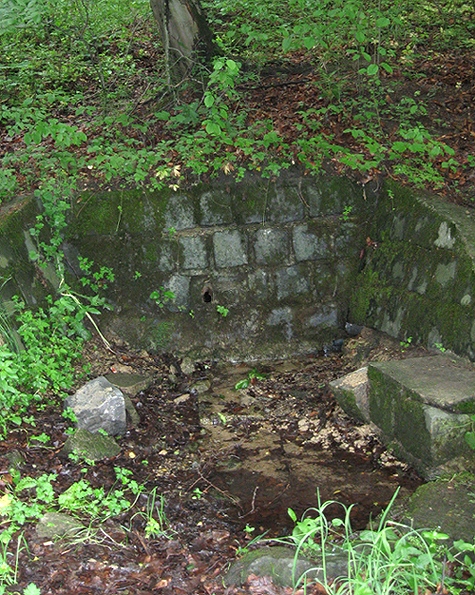 pramen Pod Valovou skálou (1371) - červen 2009