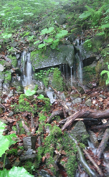 pramen Ráztoka (1372) - červen 2009