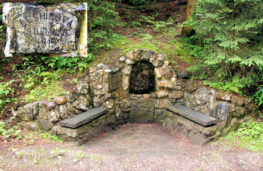 Lesníkova studánka (1383) - červen 2009