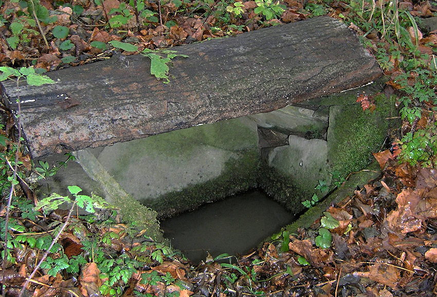 studánka bez jména (1387) - červen 2009