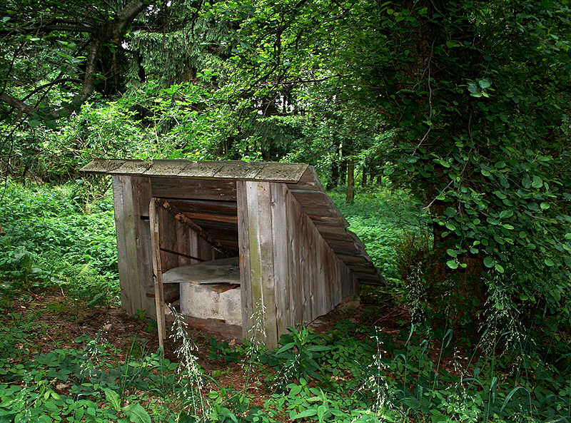 Studna na Lopunici (1391) - červen 2009
