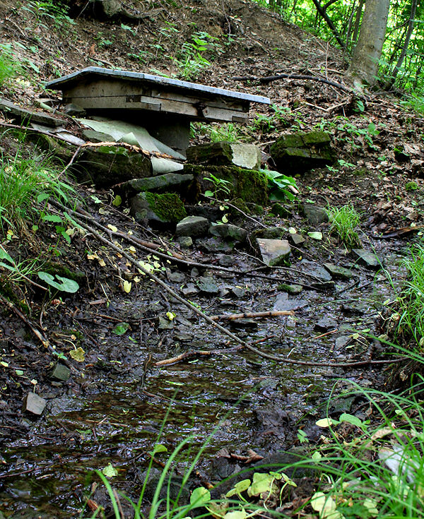 pramen pod Čupkem (1395) - červen 2009