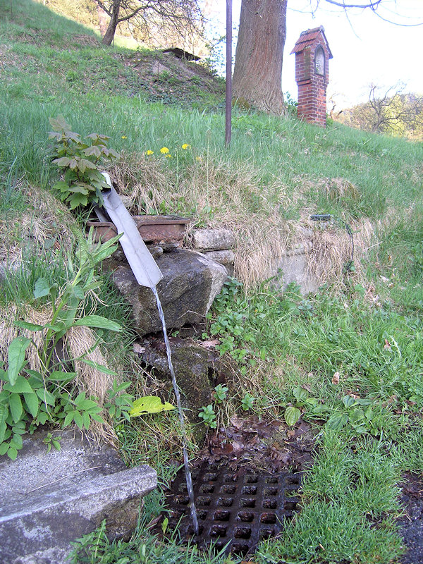 studánka U kříža (1401) - červen 2009