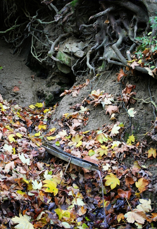 pramen U loděnice (1404) - červen 2009