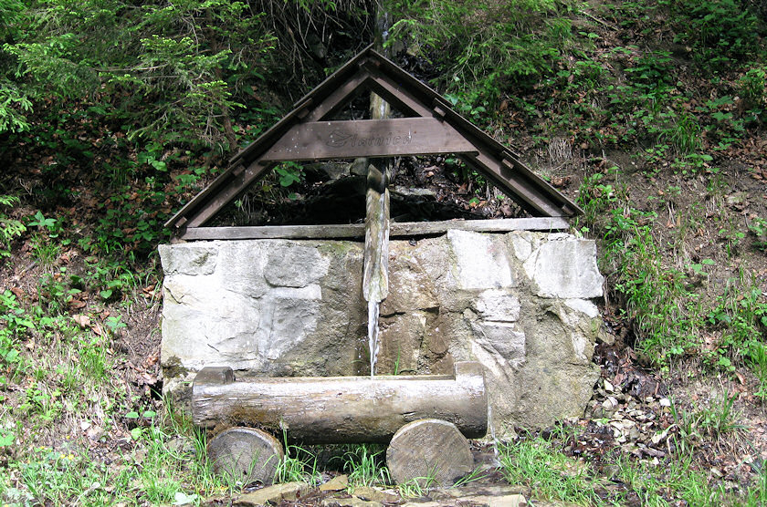 pramen Zlatnica (1411) - červen 2009
