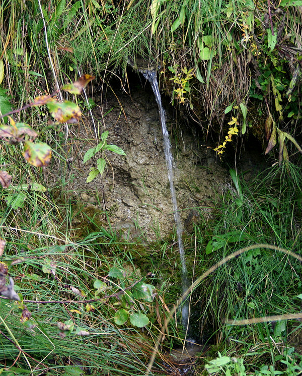 pramen Nad Stanovnicí (1418) - červen 2009