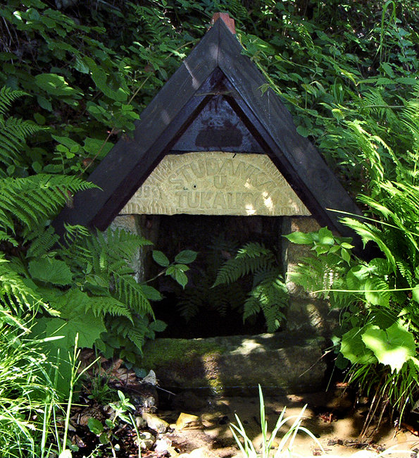 studánka U Tůkalky (1421) - červen 2009