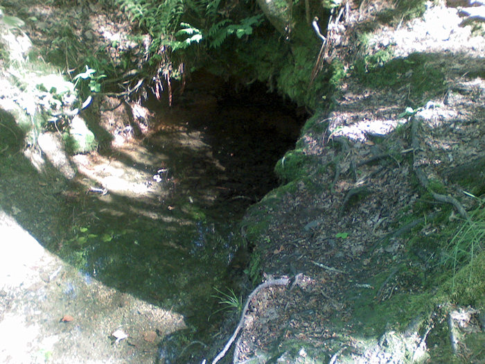 pramen bez jména (1422) - červen 2009