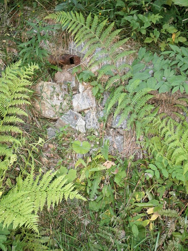 Mariánská studánka (1424) - datum neznámé