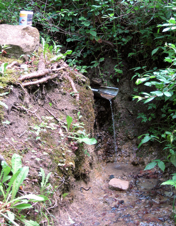 pramen Ve vršcích (1438) - červen 2009