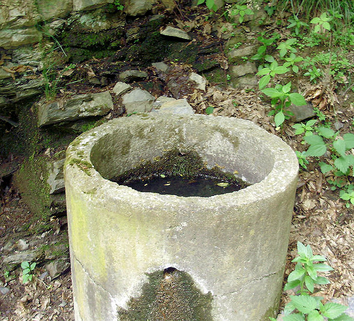 studánka Nad Přehradou (1453) - červen 2009