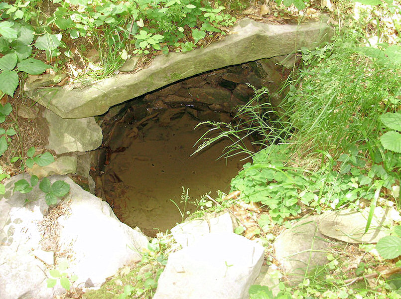 studánka Na okraji (1454) - červen 2009