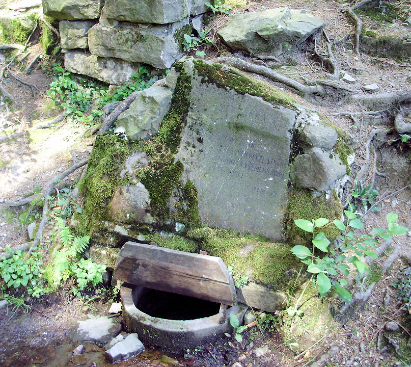 studánka Mařenčina (1457) - červen 2009