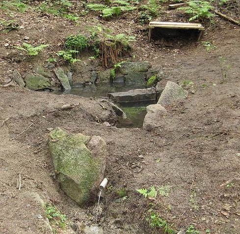 studánka Liščí (1480) - červen 2009
