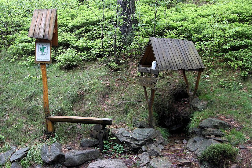 studánka Kladnatá (1483) - červen 2009