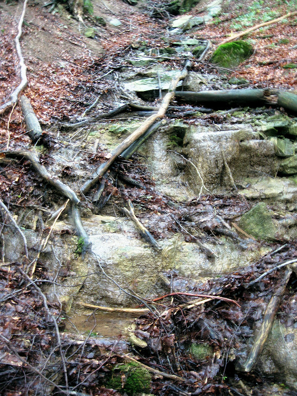 pramen Křenov (1489) - červen 2009