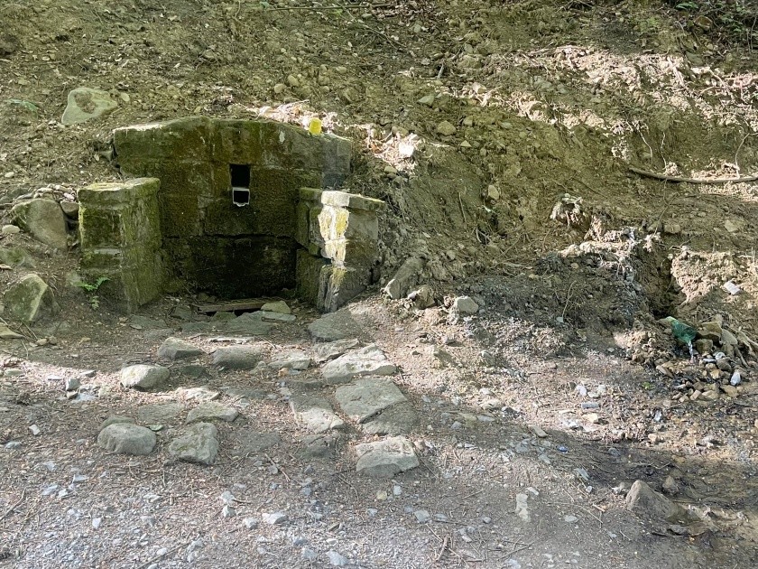 studánka Formanka (1499) - květen 2024