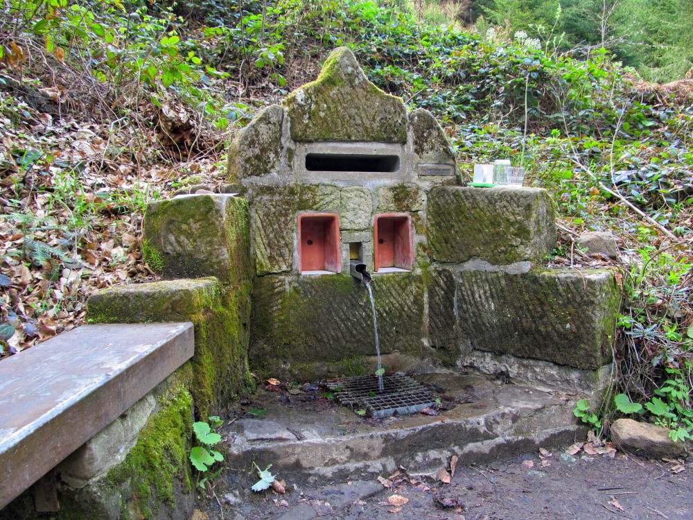 Plevákova studánka (1500) - duben 2025