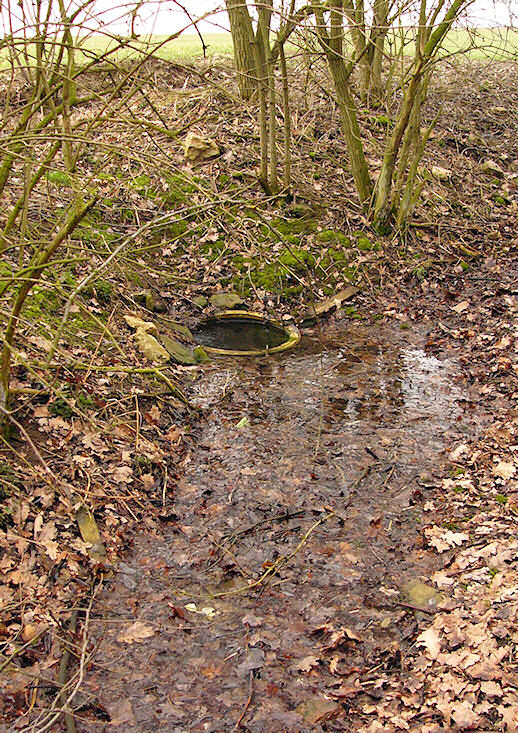studánka Pod bezem (153) - březen 2009