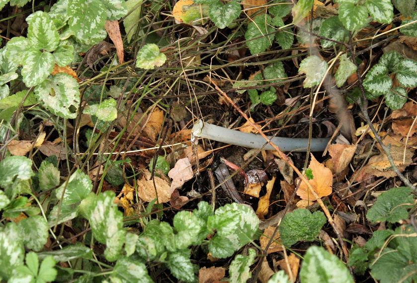Studánka u Srubu (162) - říjen 2005
