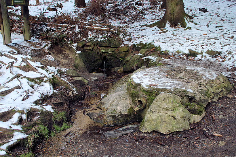 studánka Vitulka (165) - leden 2020