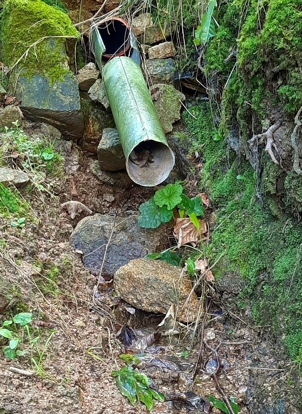 Kamenná studánka (169) - září 2023