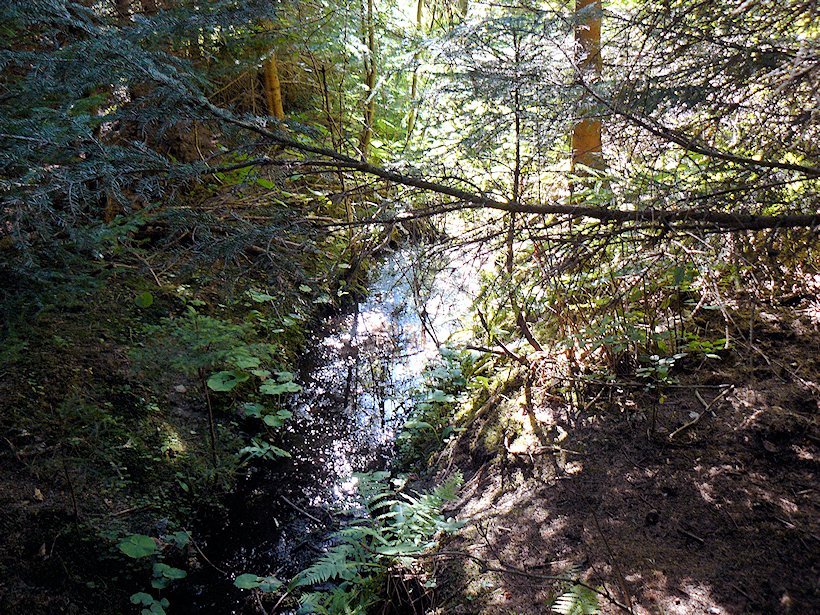 studánka U Naděje (173) - říjen 2006