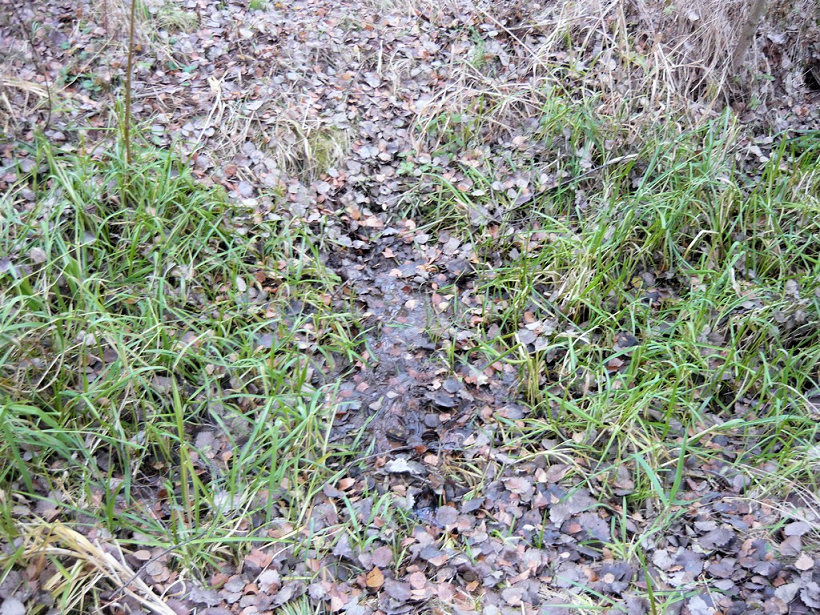 studánka U Požáru (181) - duben 2007