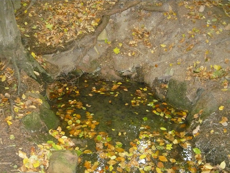 studánka Pod Kořenem (182) - datum neznámé