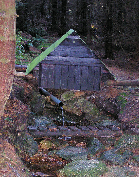 studánka Tetřeví (194) - únor 2008