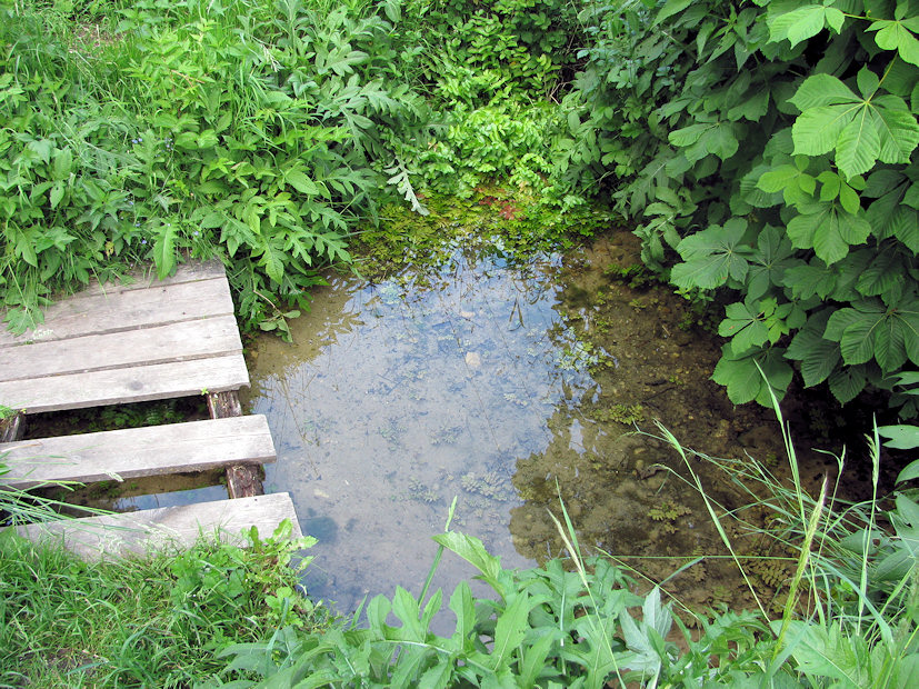 studánka Podmukařov (206) - březen 2008