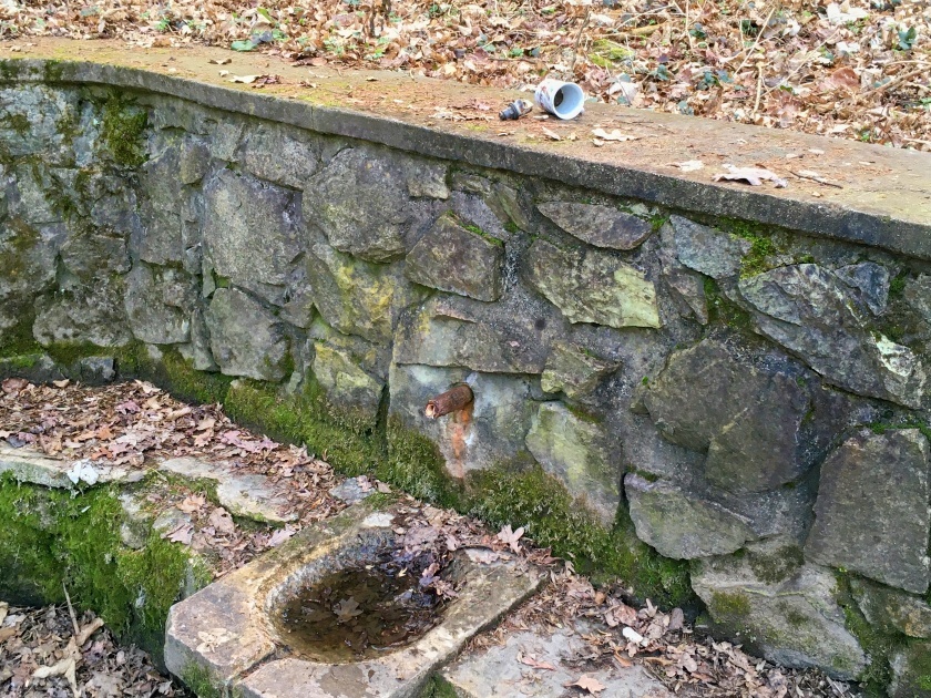 studánka Přátelství (207) - březen 2024