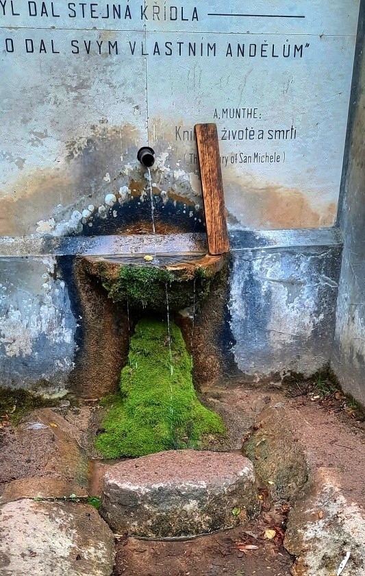 studánka Ptačí svatyně (208) - září 2023