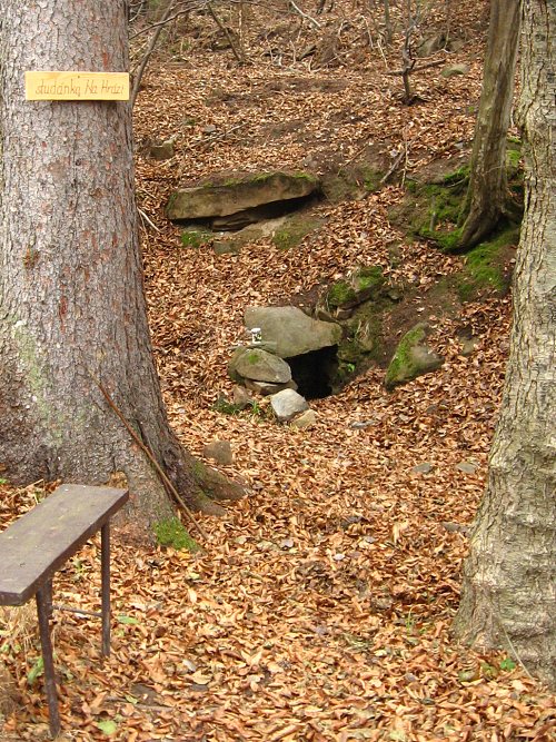 studánka Na hrázi (218) - březen 2008